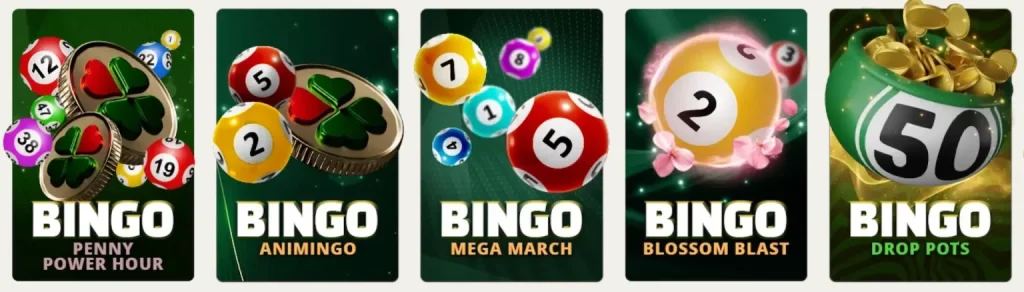mfortune casino bingo